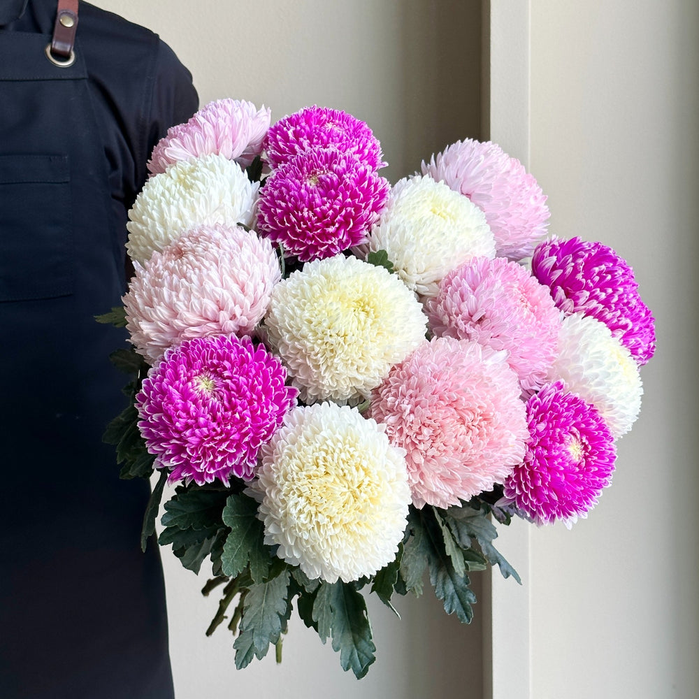 Chrysanthemum Mixed - Charming Pastel (15 stems)