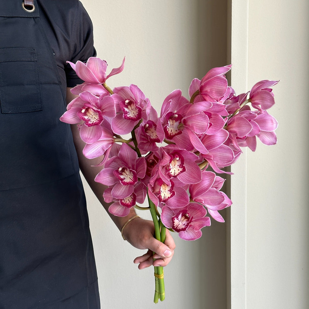 Cymbidium Orchids - Priwine Red