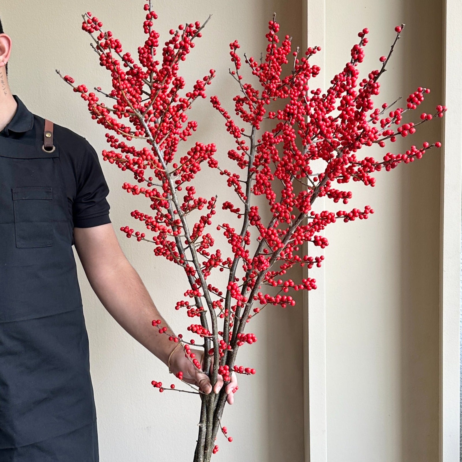 Ilex Verticillata - Red Winterberries Super Tall (130cm)