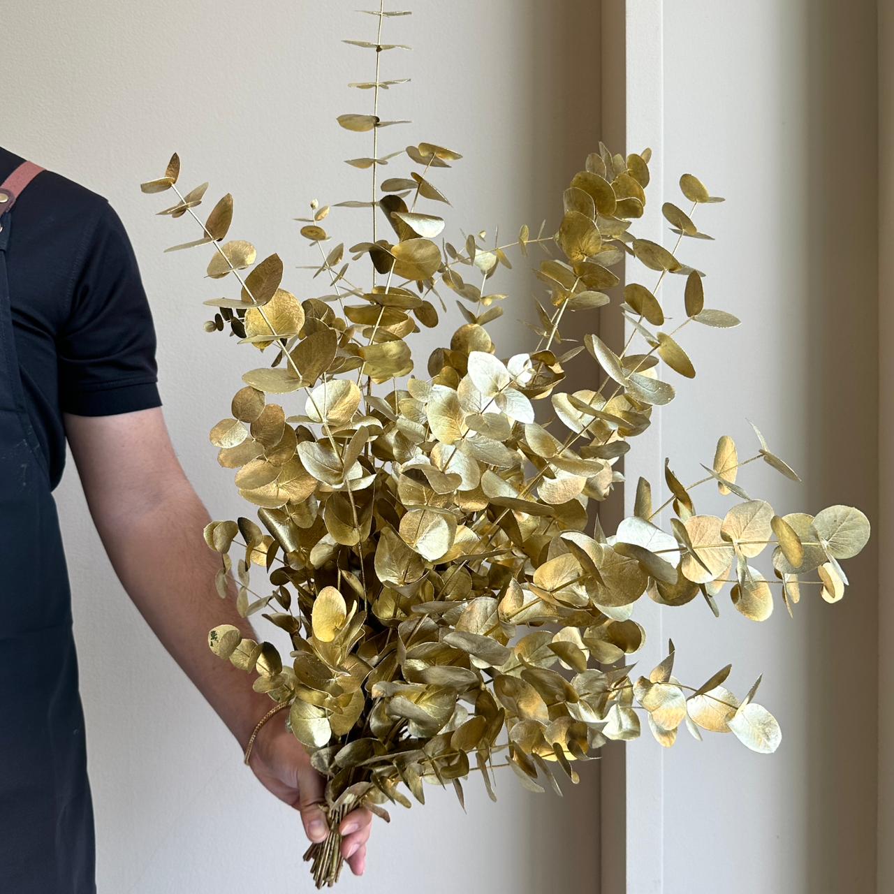 Eucalyptus Cinerea Painted Gold