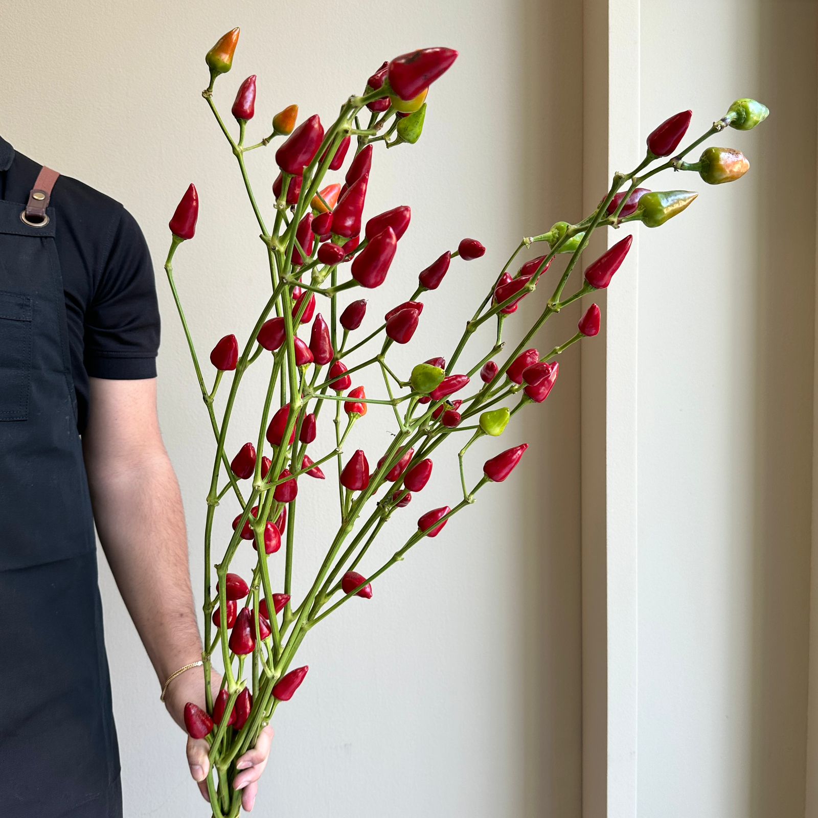 Capsicum Branches - Christmas Red (5 Stem)