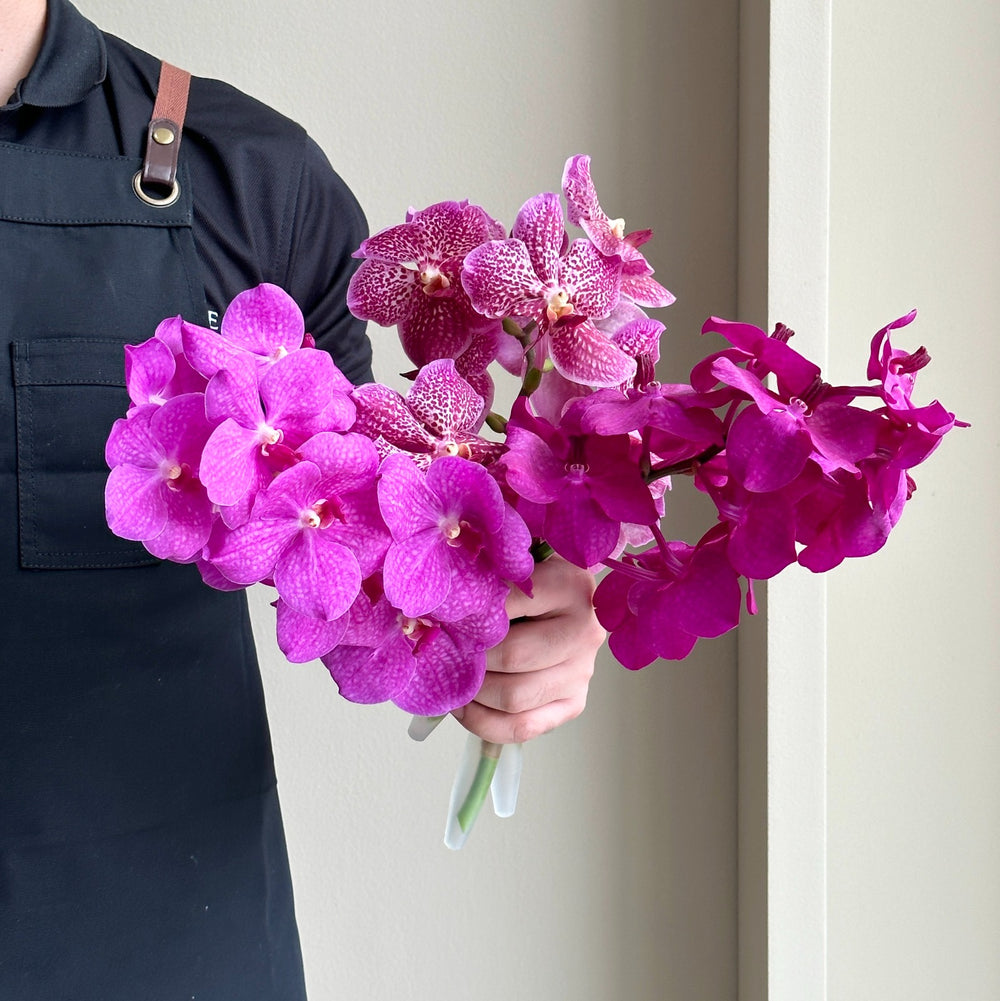 Vanda Orchids - Pink Mix