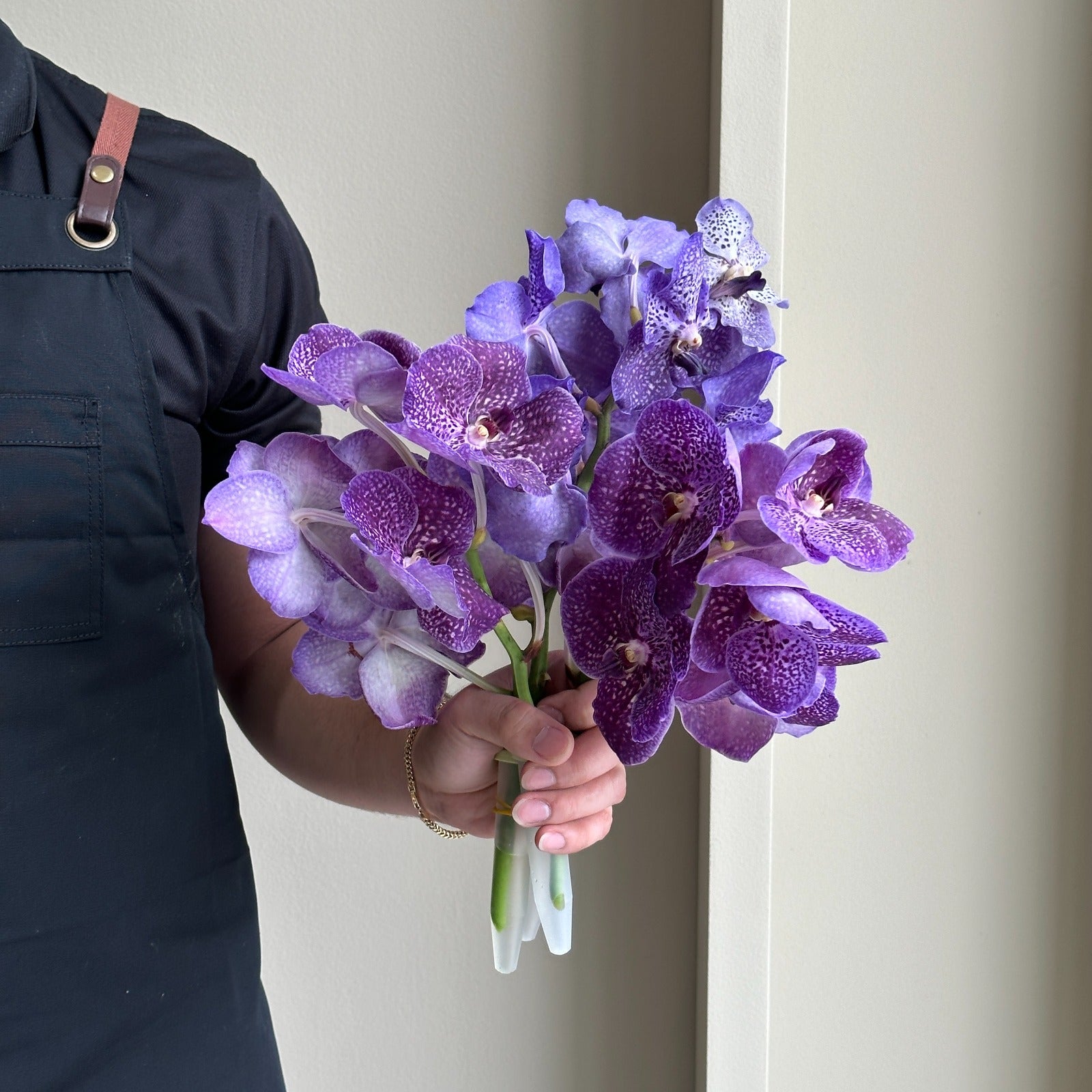 Vanda Orchids - Purple Midnight Mix