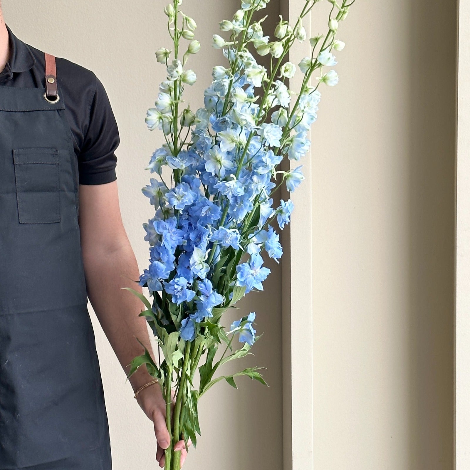 Delphiniums - Light Blue (5 Stem - 100cm)