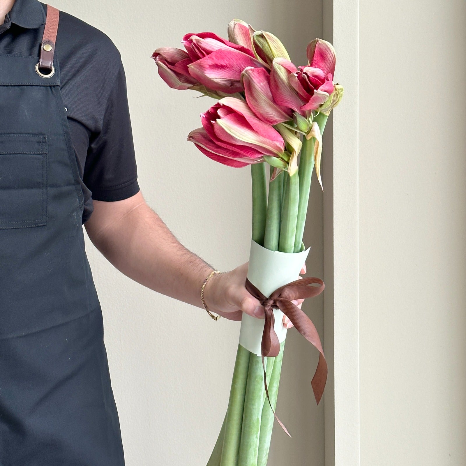 Amaryllis - Hercules (6 Stems)