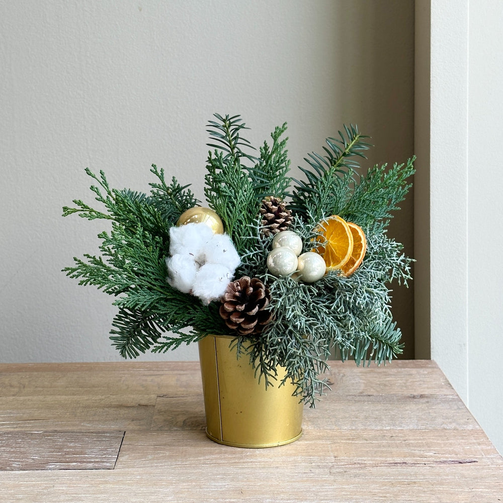 Roseau - Mini Festive Winter Pot