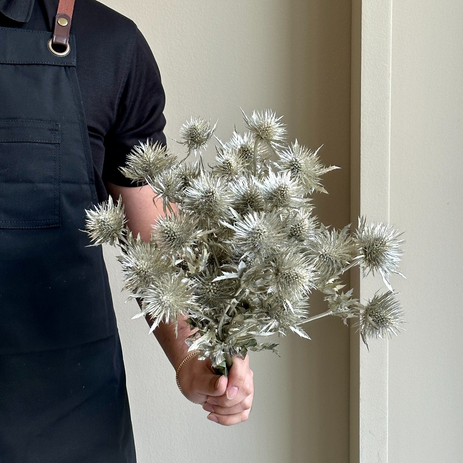 Eryngium Painted Platina