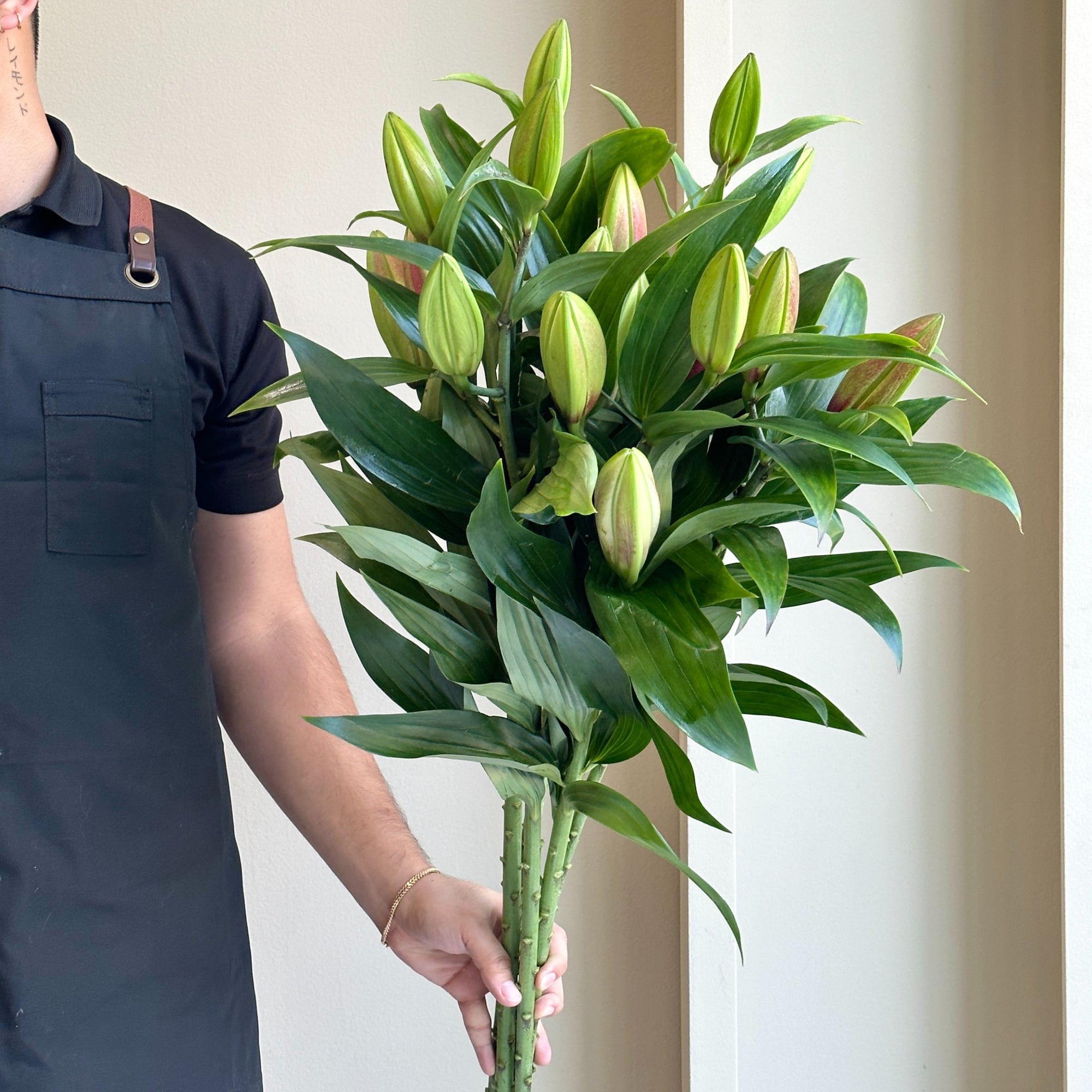 Lilies Orientpet - Strong Love Pink