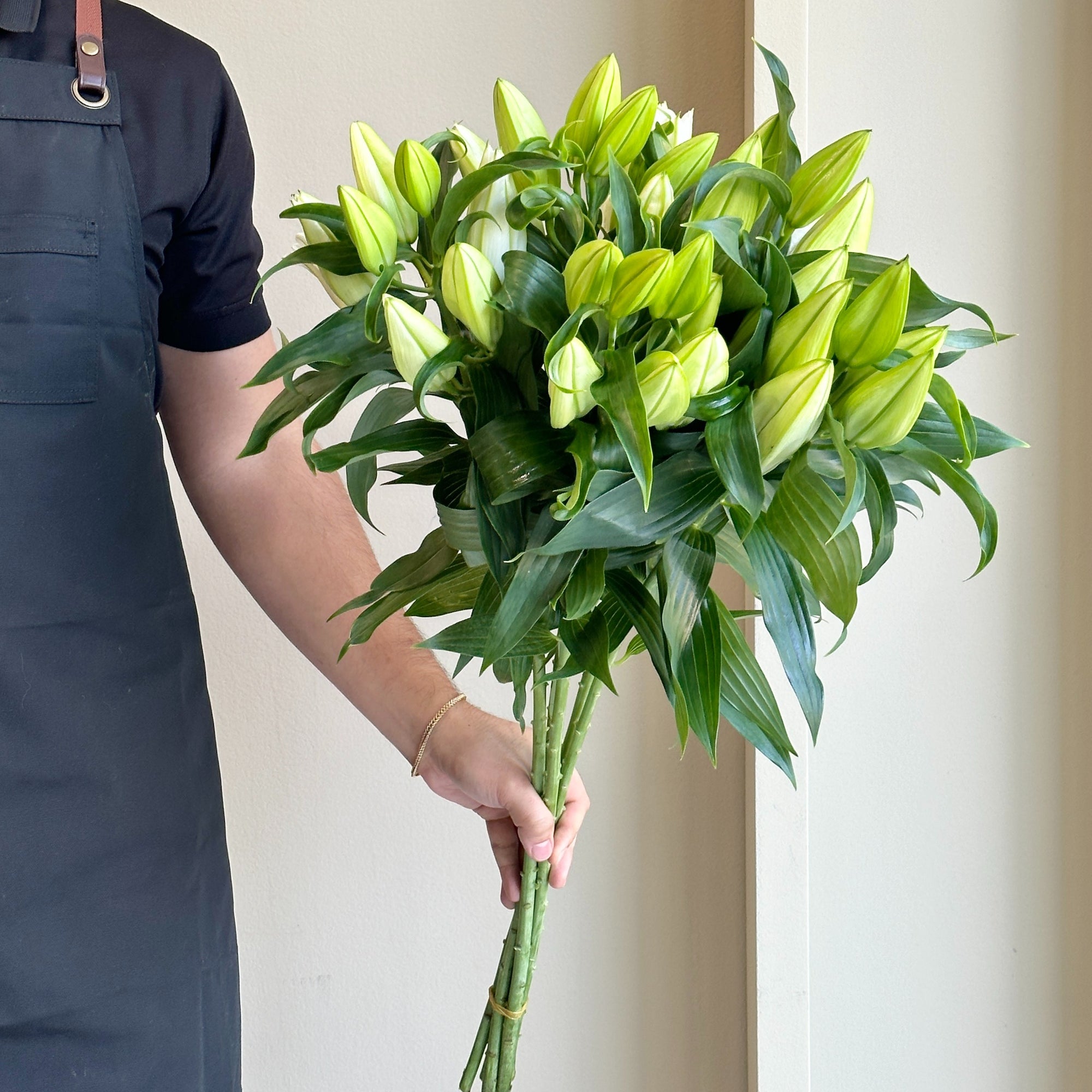 Lilies Oriental - Proposal White