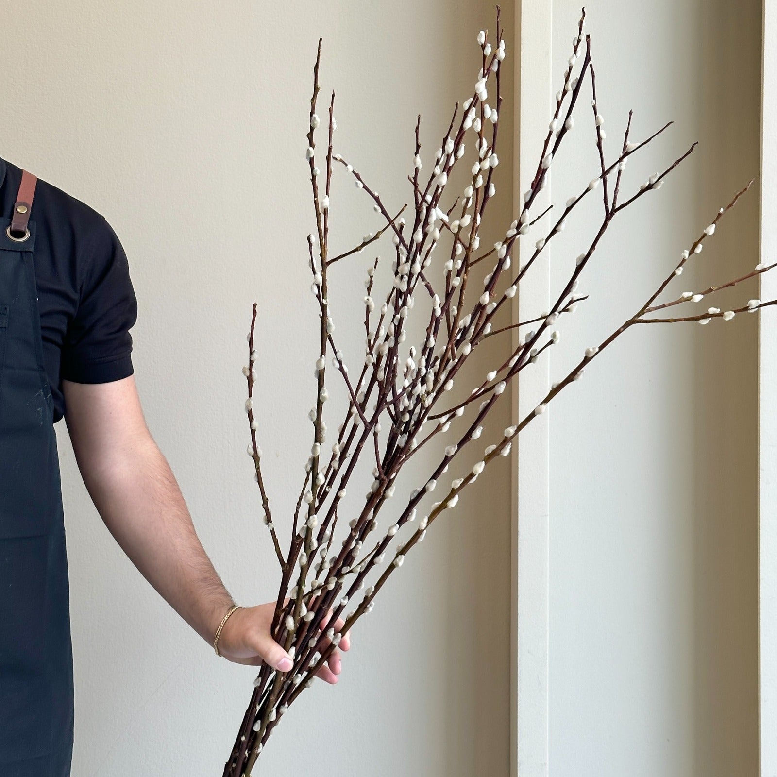 Salix Wilgenkatjes Vertakt - White (120cm)