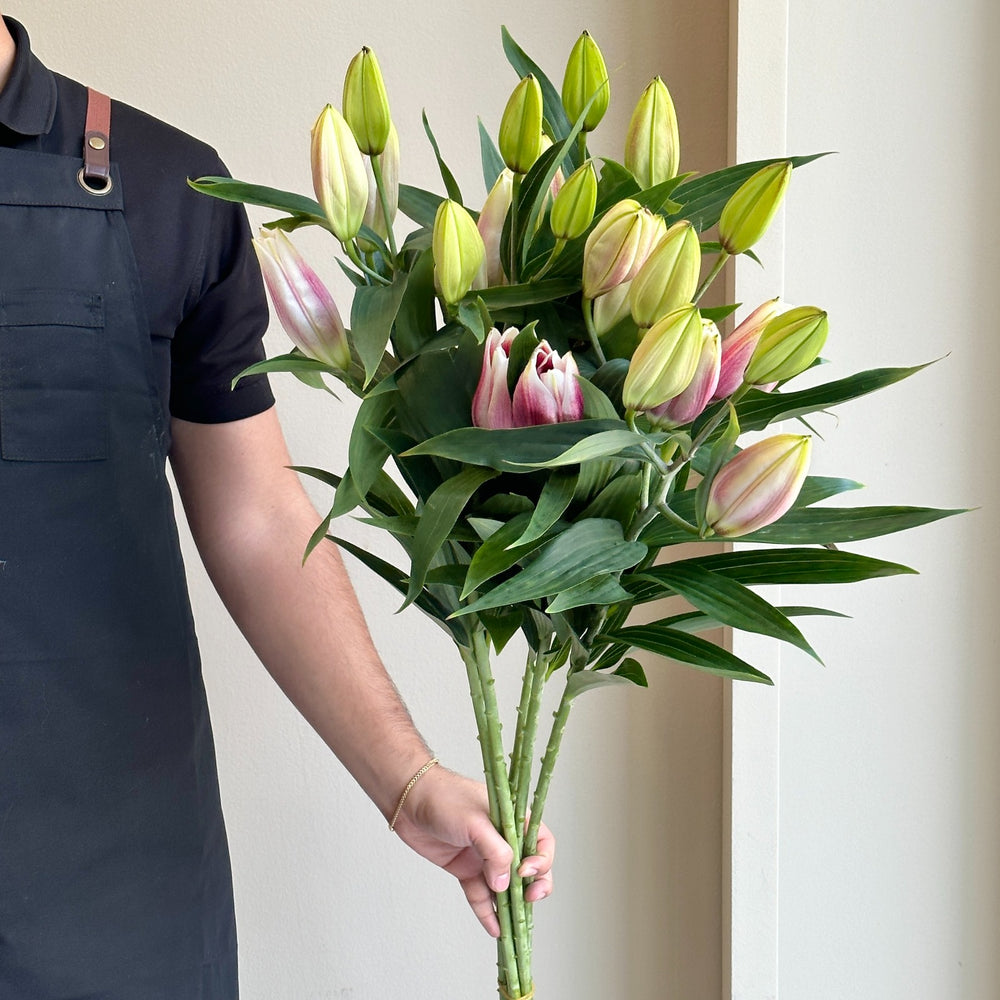 Lilies Oriental - Joop Pink