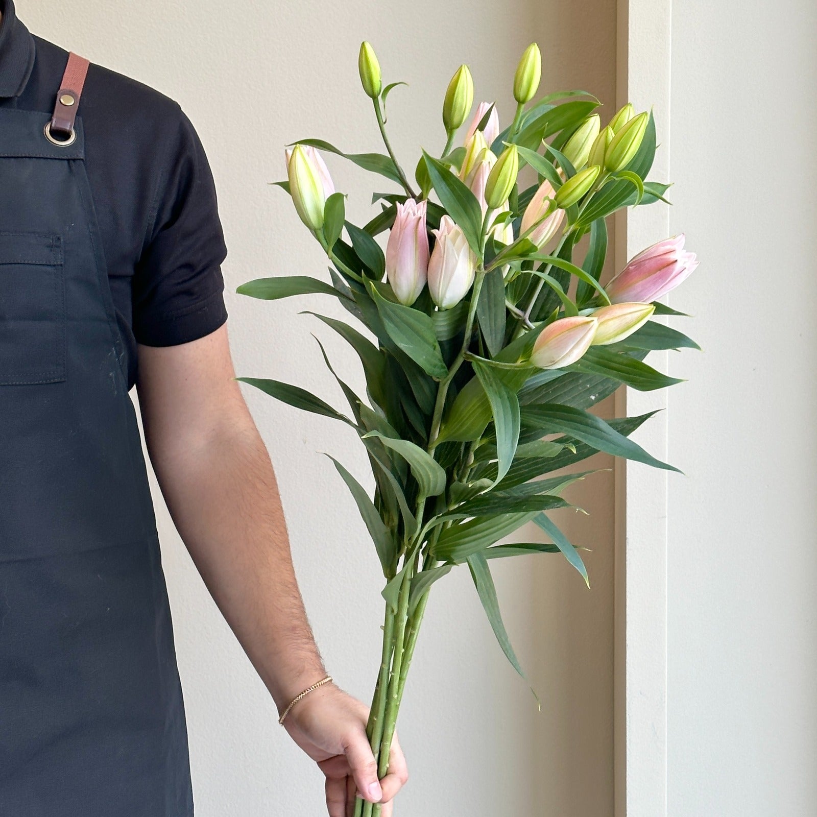 Lilies Oriental Double - Amistad Pink