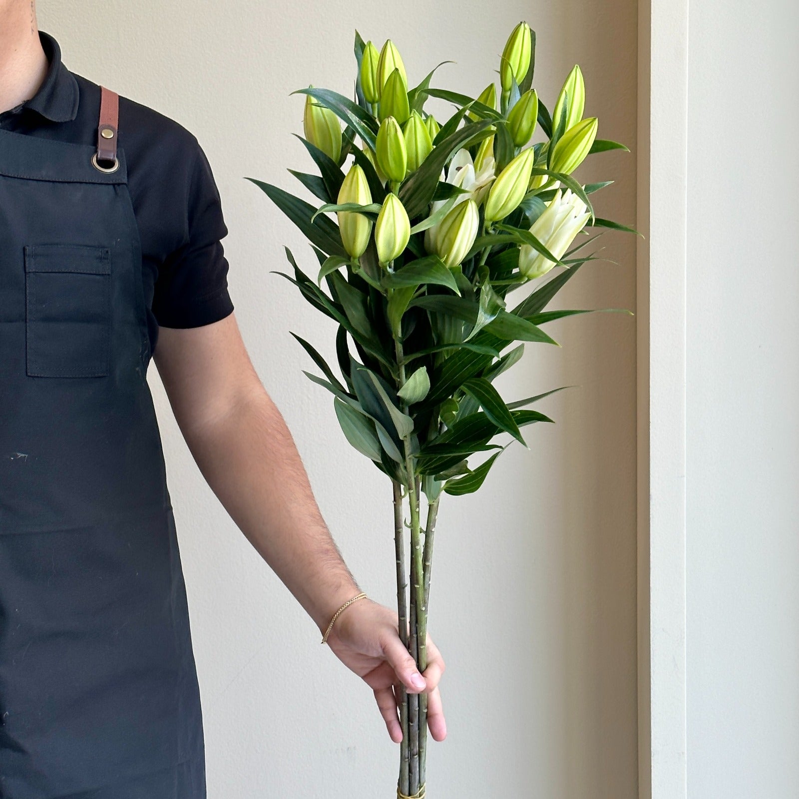 Lilies Oriental - Pacific Ocean White