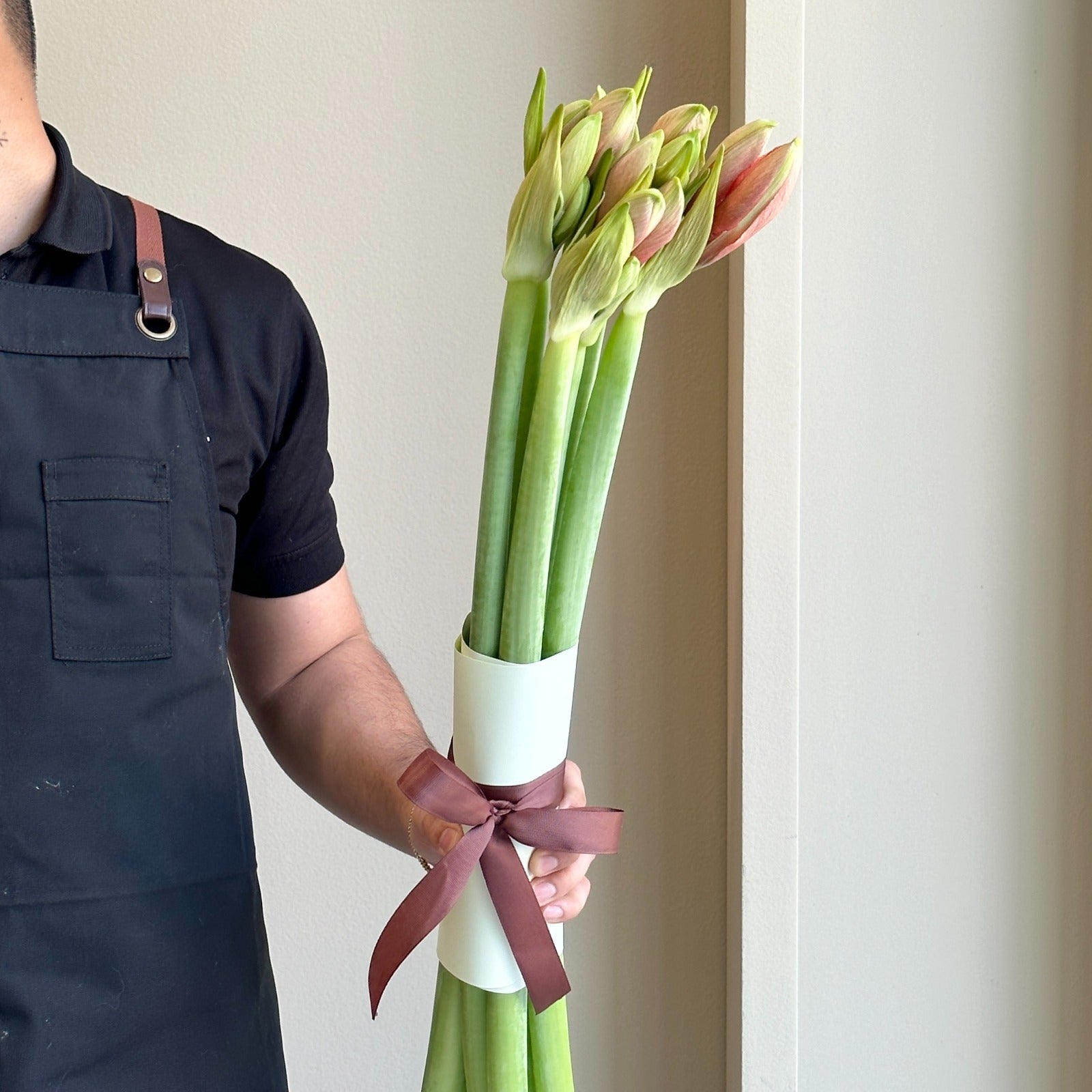 Amaryllis - Desire (6 stems)