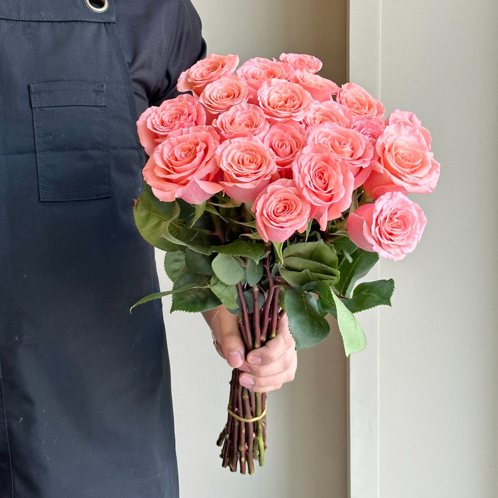 Roses - Superstition Salmon