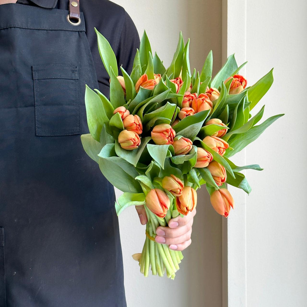 Tulips Double - Lorenzo Orange