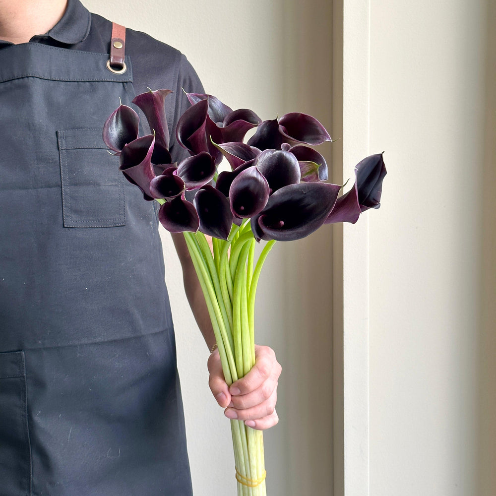 Calla Lilies - Cantor Black