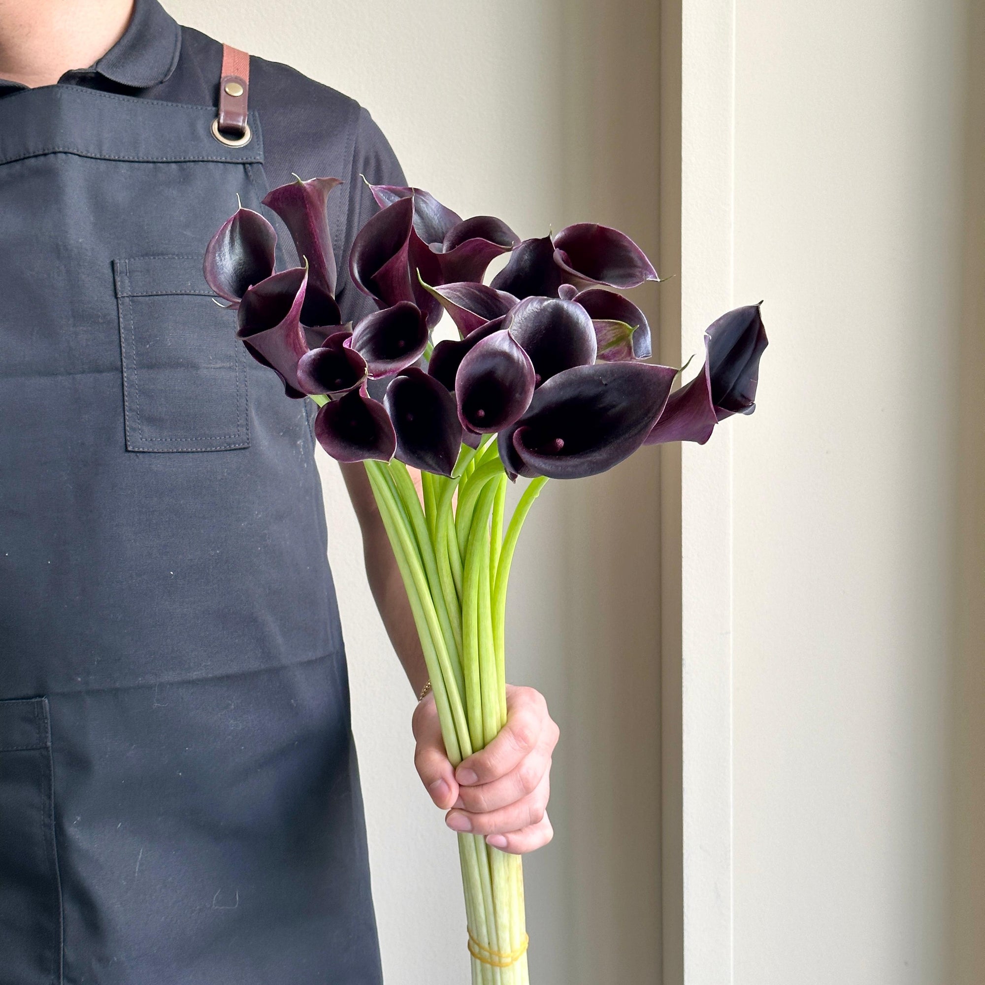 Calla Lilies - Cantor Black