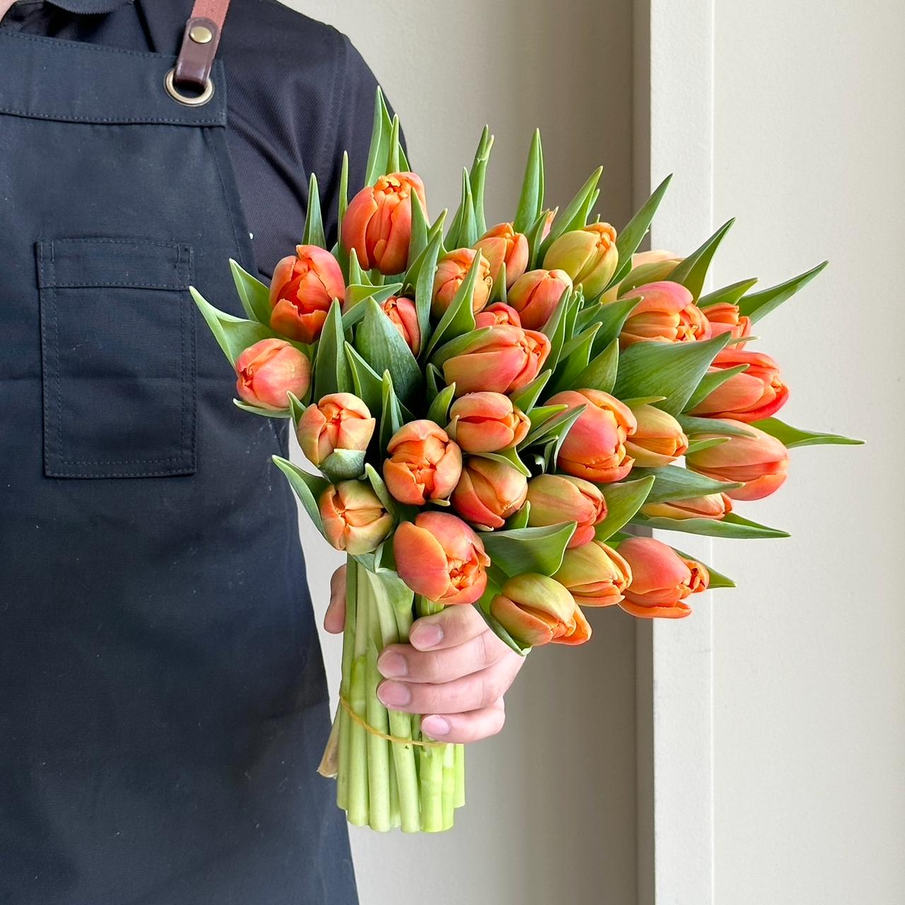 Tulips Double - Icoon Orange
