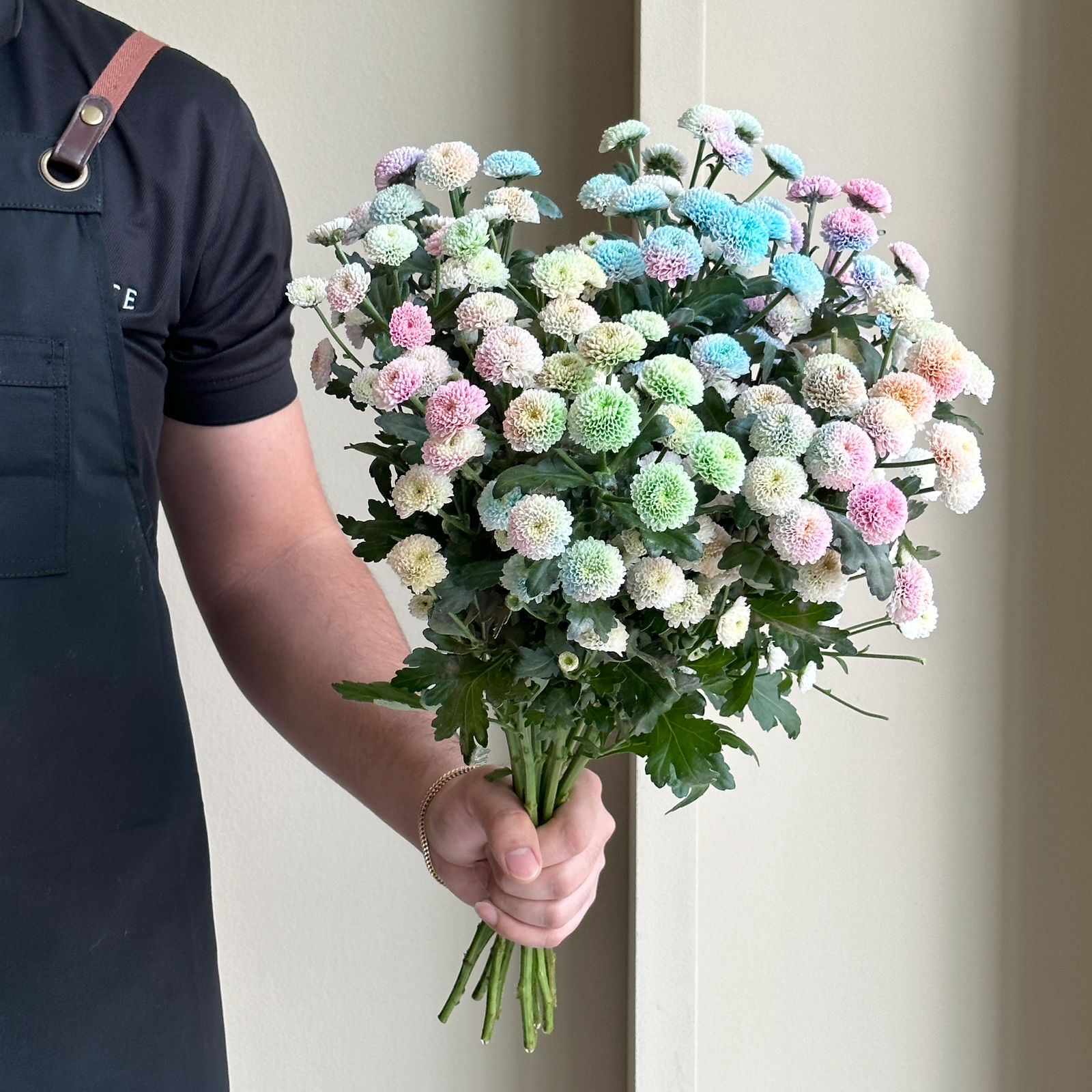 Chrysanthemums - Santini Dusty Rainbow