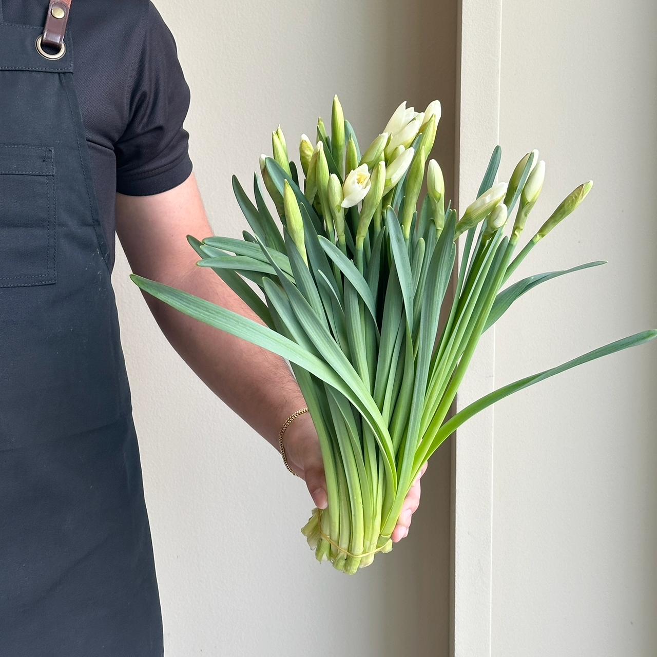 Daffodils - Narcissus Wedding Bell