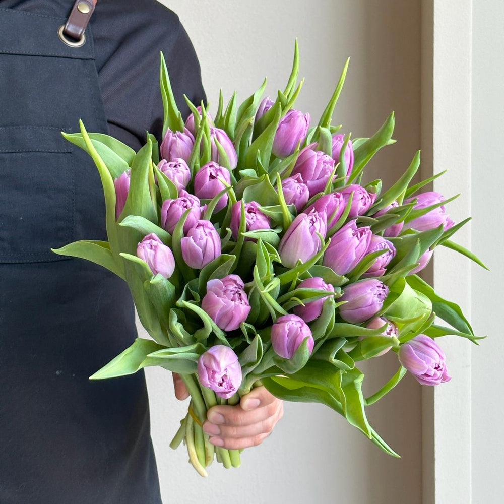 Tulips Double - Price Pink