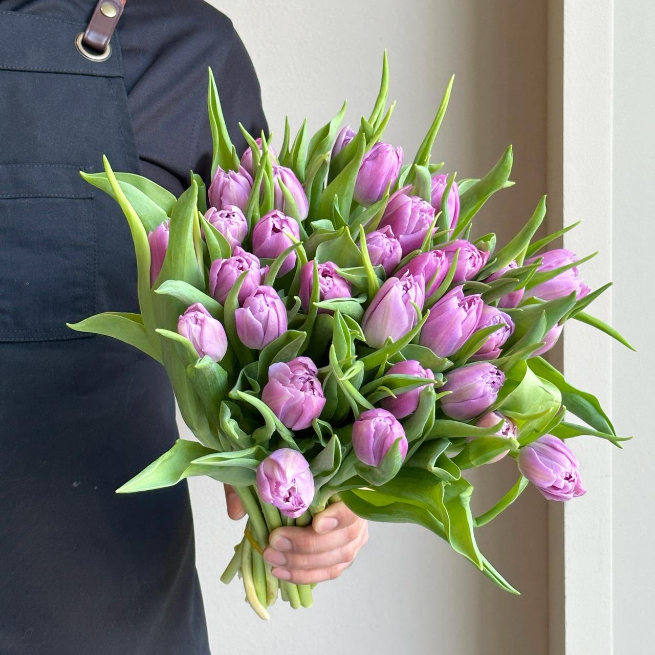 Tulips Double - Price Pink