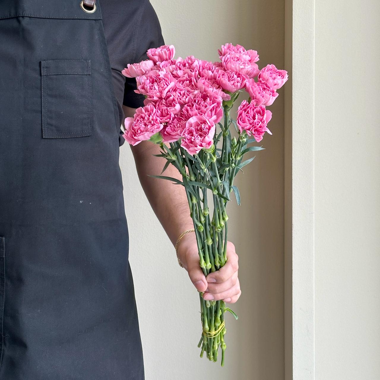 Carnation - Jodie Pink