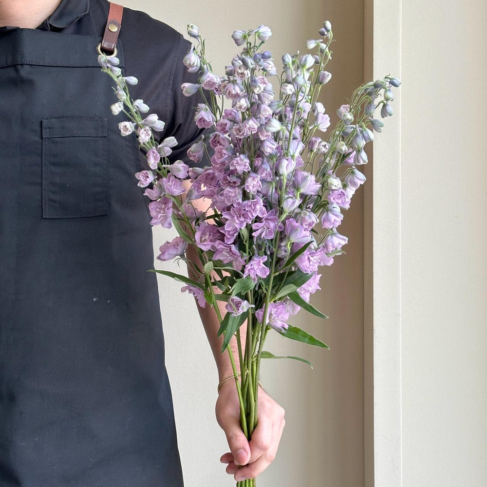 Delphiniums - Dark Lilac 60cm (10 Stem)