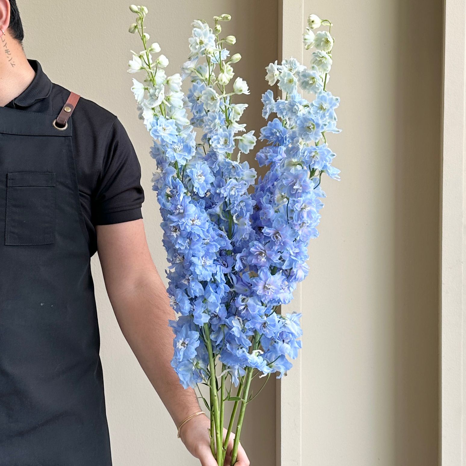 Delphiniums - Blue (5 Stem - 100cm)