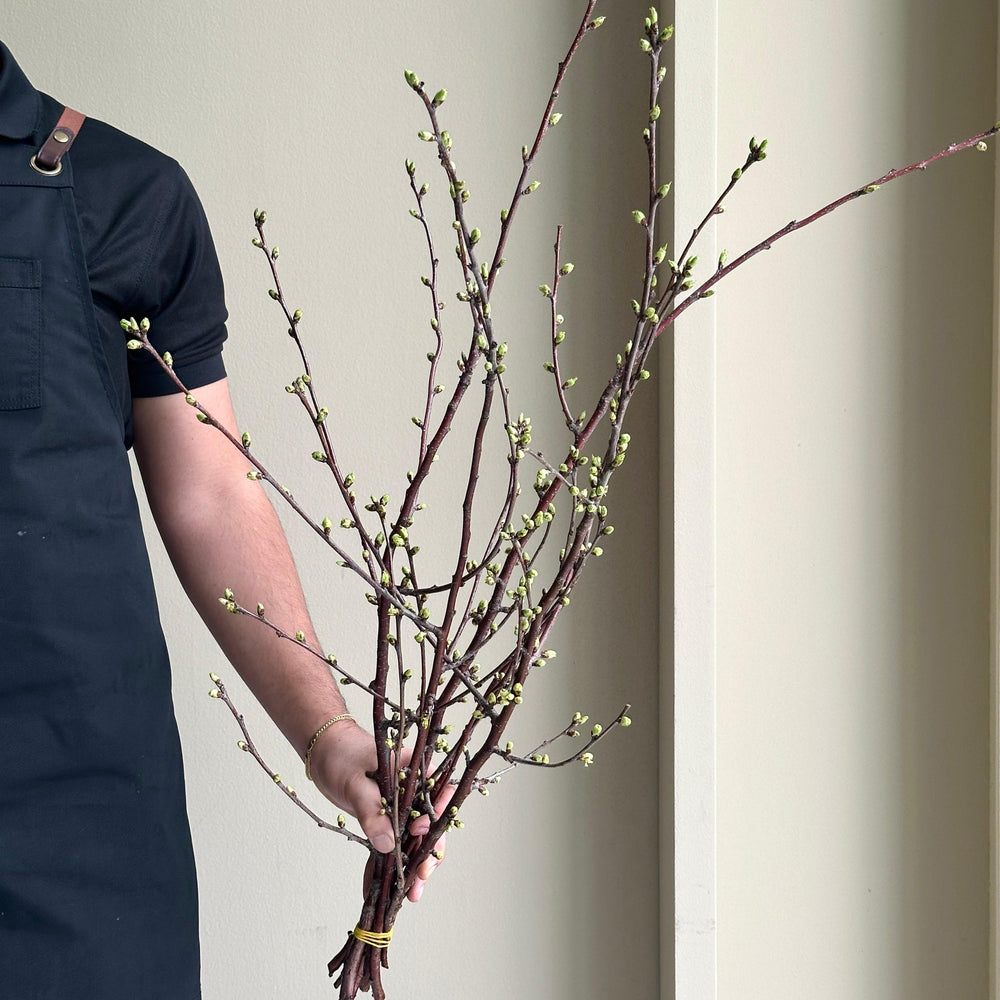 Cherry Blossom Bunch