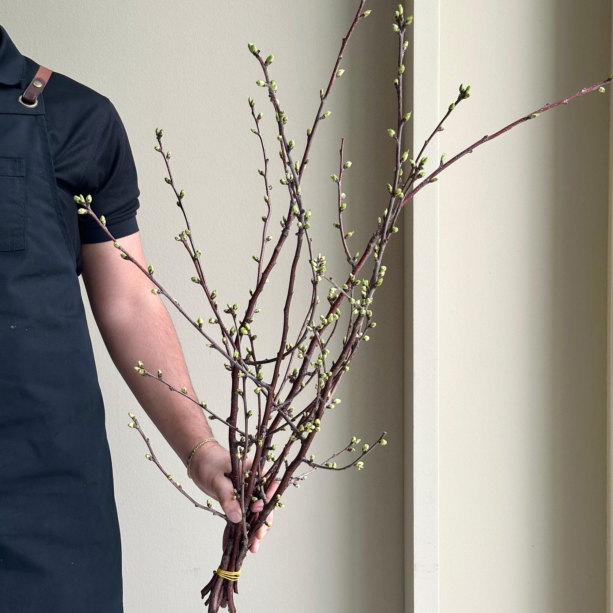 Cherry Blossom Bunch