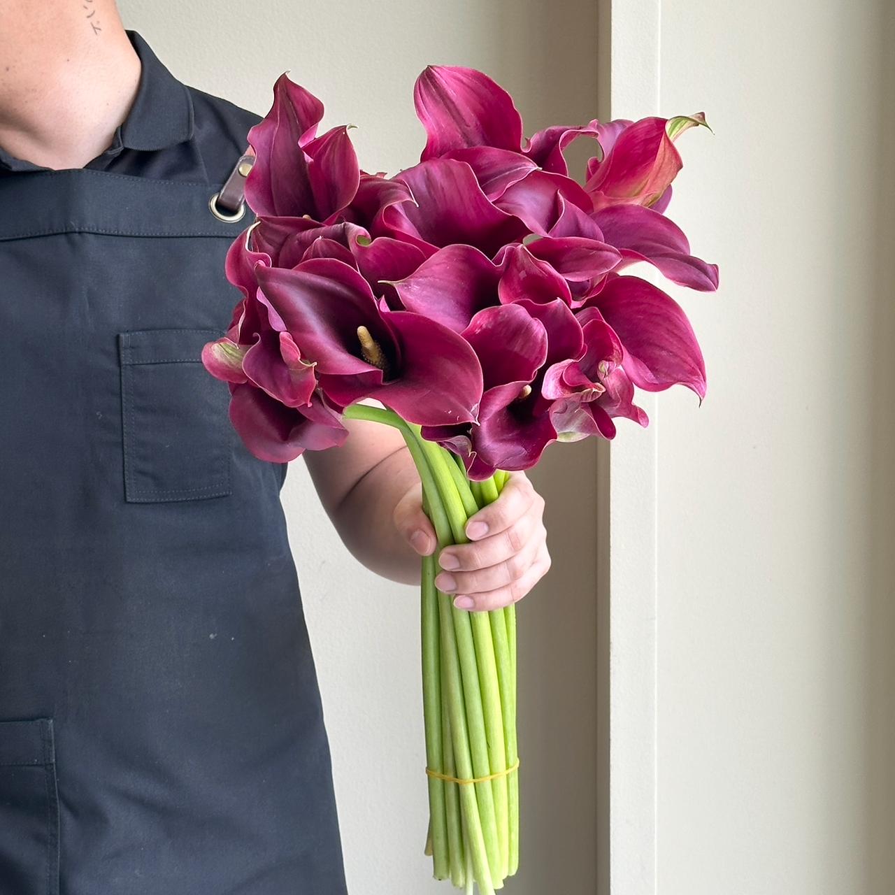 Calla Lilies - Captain Promise