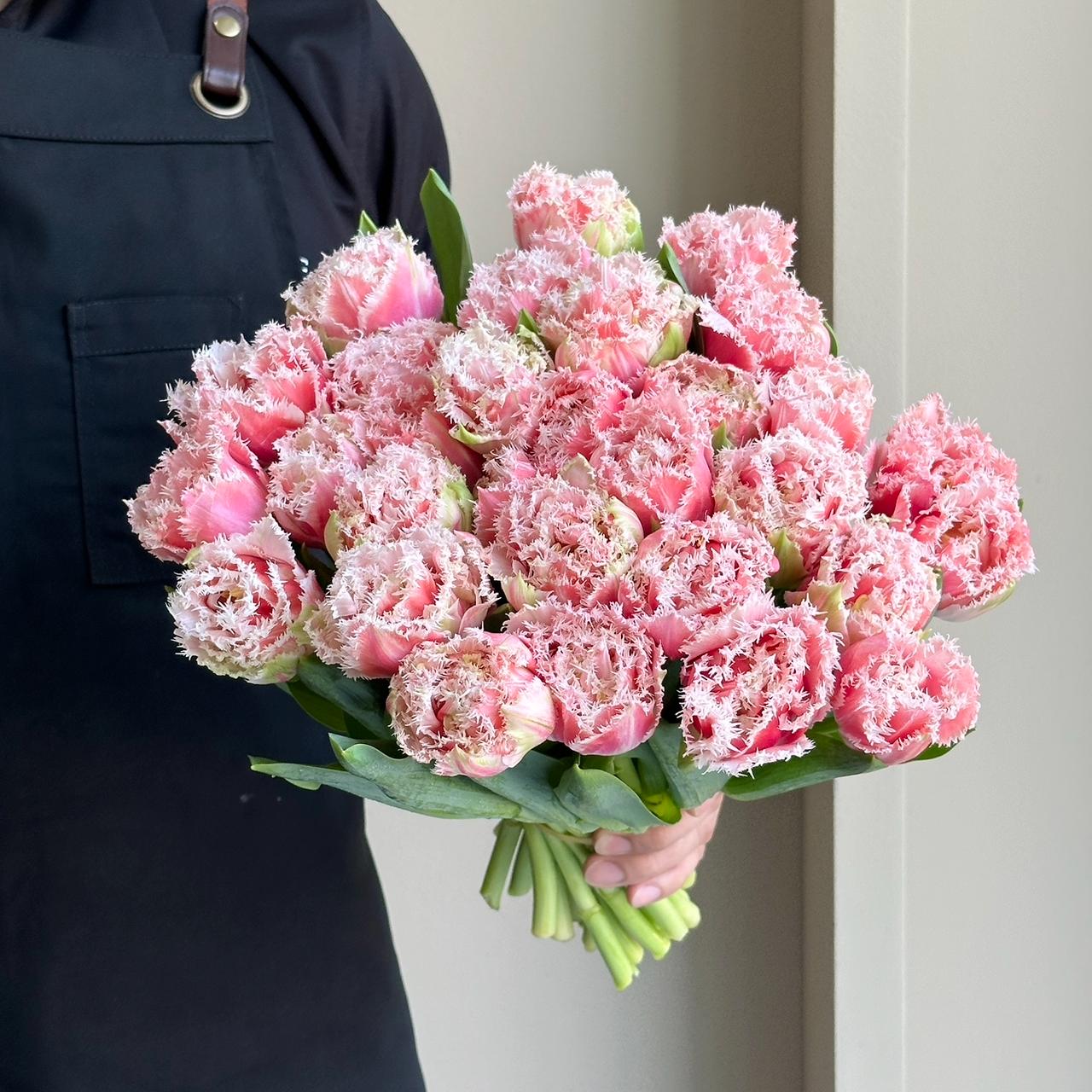 Tulips Double Frilled - Queensland XL