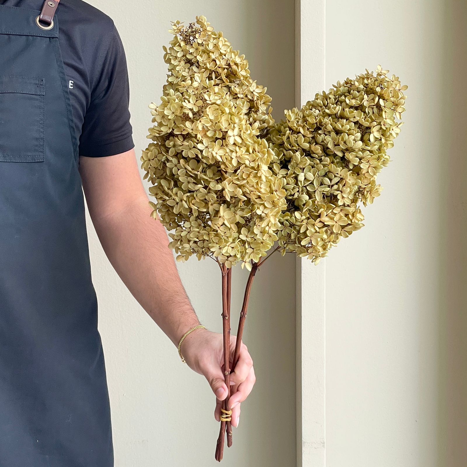 Preserved Dried Hydrangea - Paniculata Brown