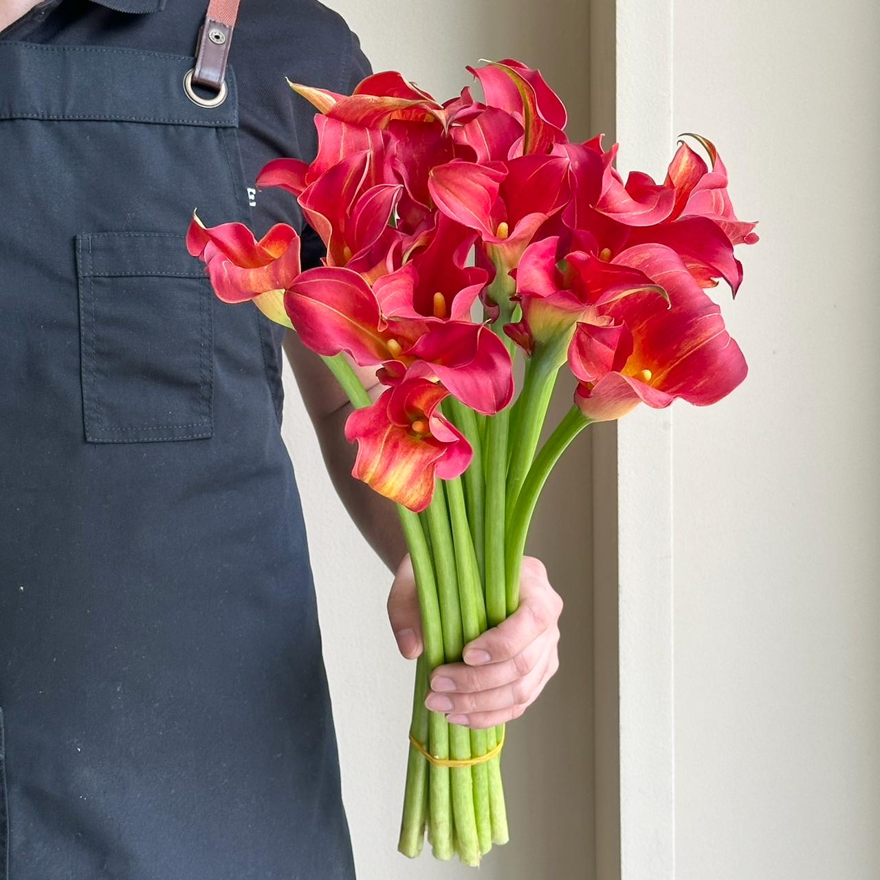 Calla Lilies - Sunset Orange