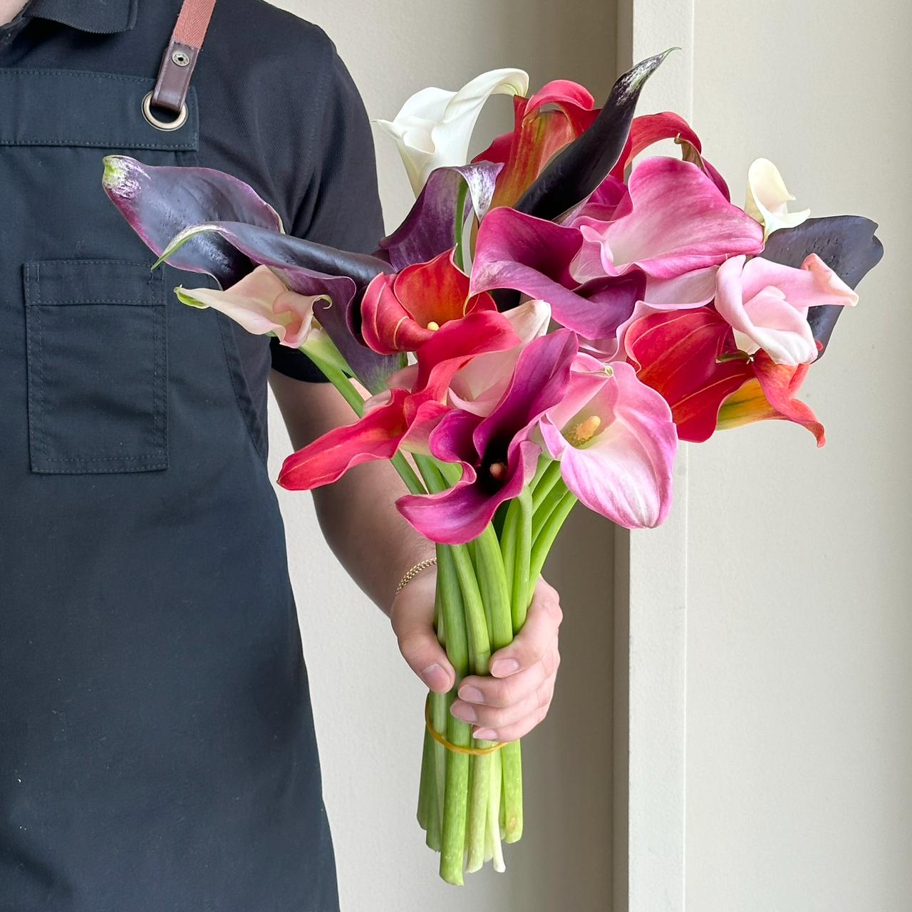 Calla Lilies - Geming Spring Mix