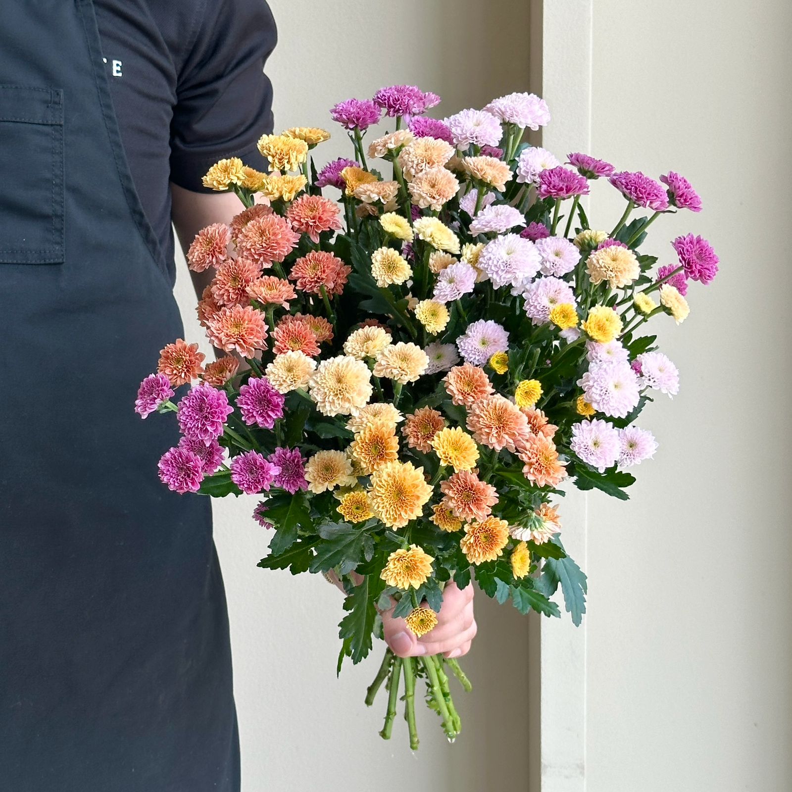 Chrysanthemum - Santini Mix