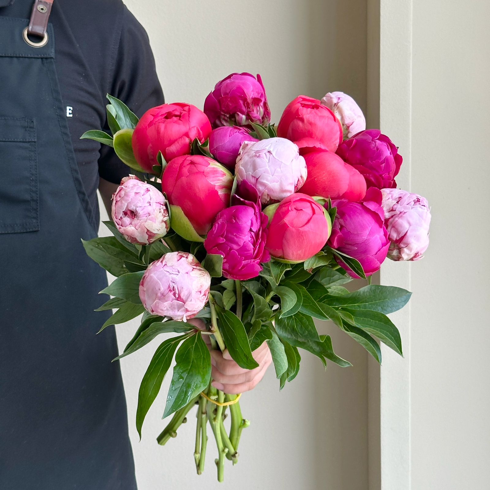 Peonies - Velvet Garden Mix
