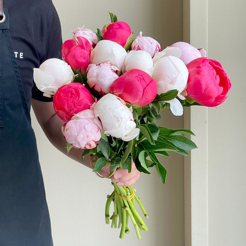 Peonies - Peony Verona Blush Mix