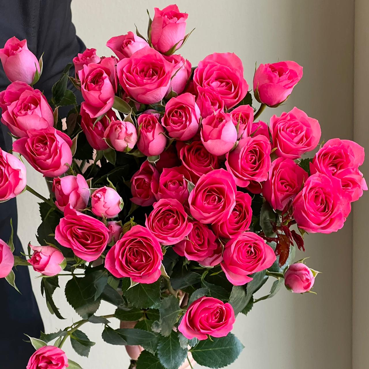 Spray Roses - Bellalinda Cerise