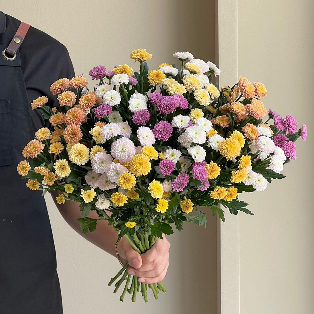Chrysanthemum - Santini Summer Mix (15 Stem)