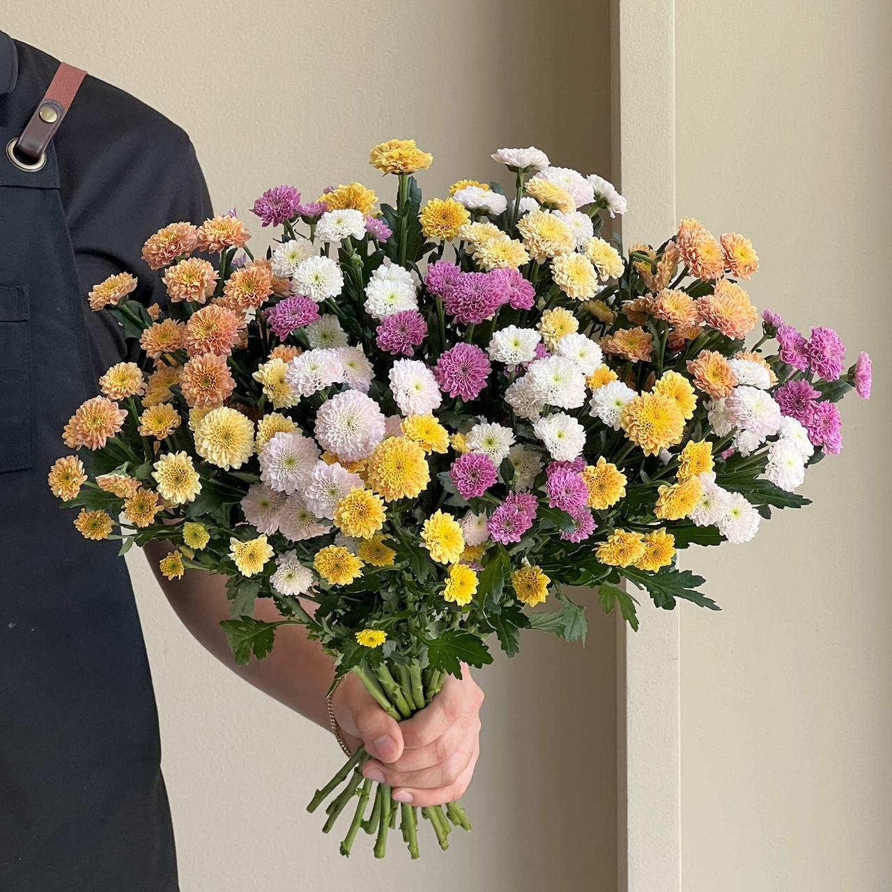 Chrysanthemum - Santini Summer Mix (15 Stem)