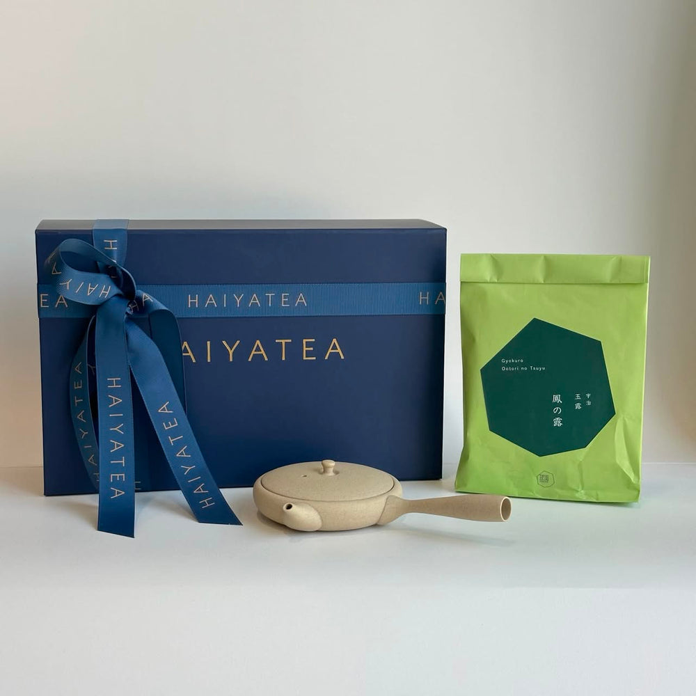 Tokoname Japanese Tea Set