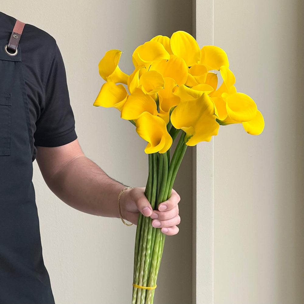 Calla Lilies - Gold Label Yellow
