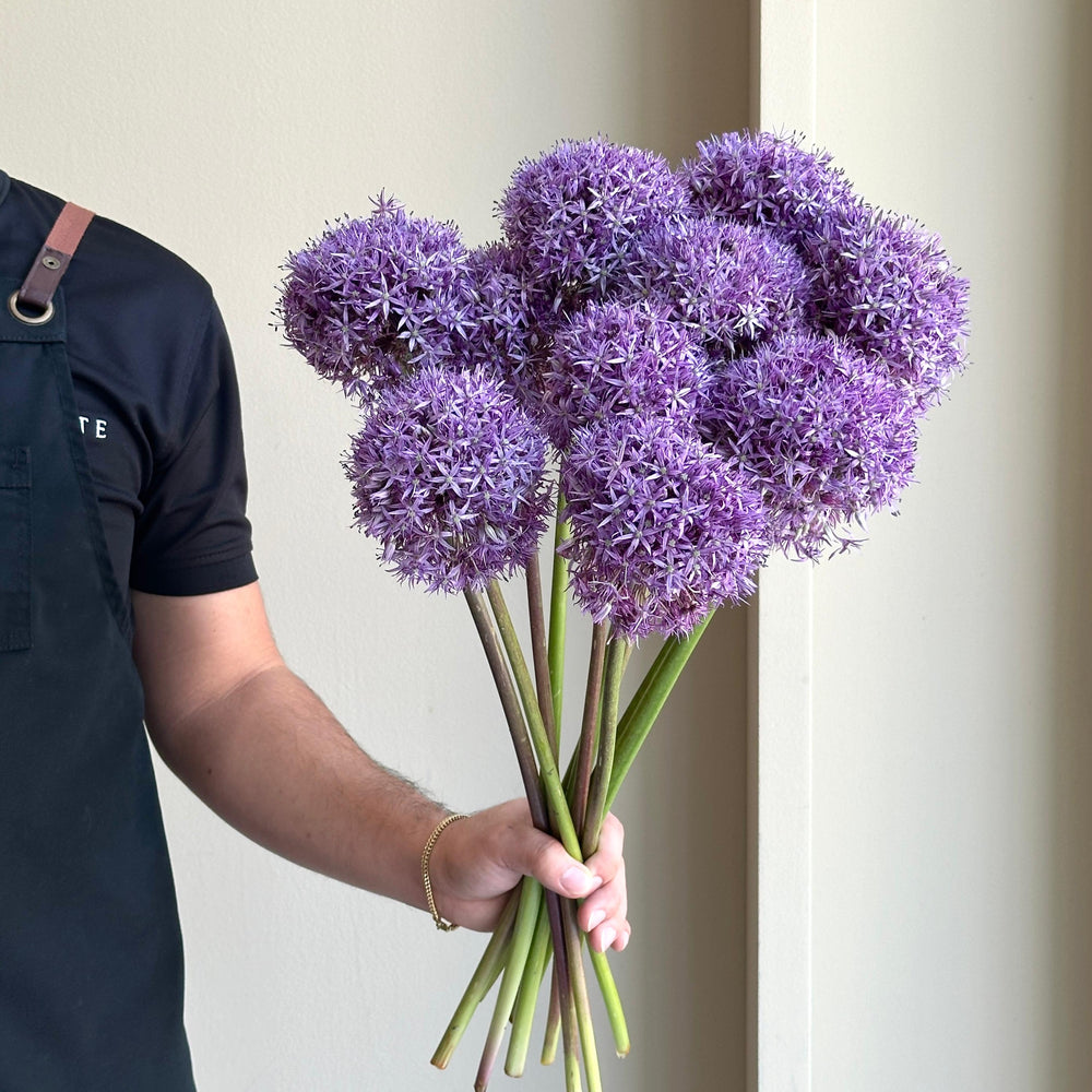 Alliums Pinball Wizard