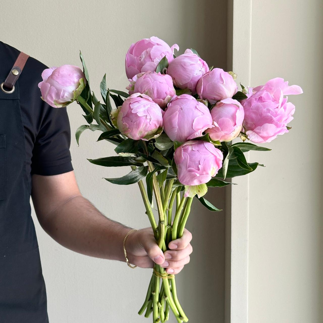 Peonies - Dinner Plate Pink