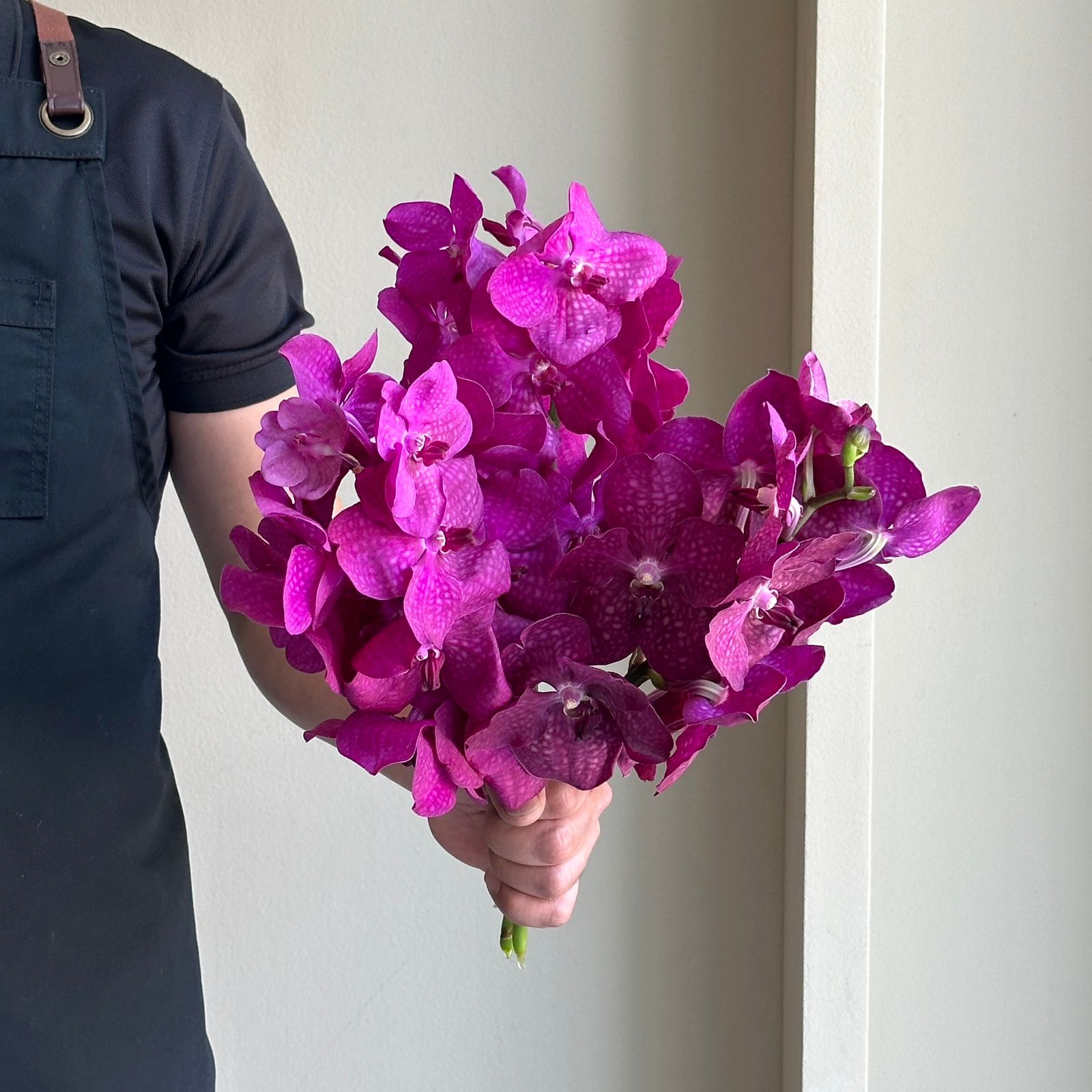 Vanda Orchids - Midnight Pink Mix