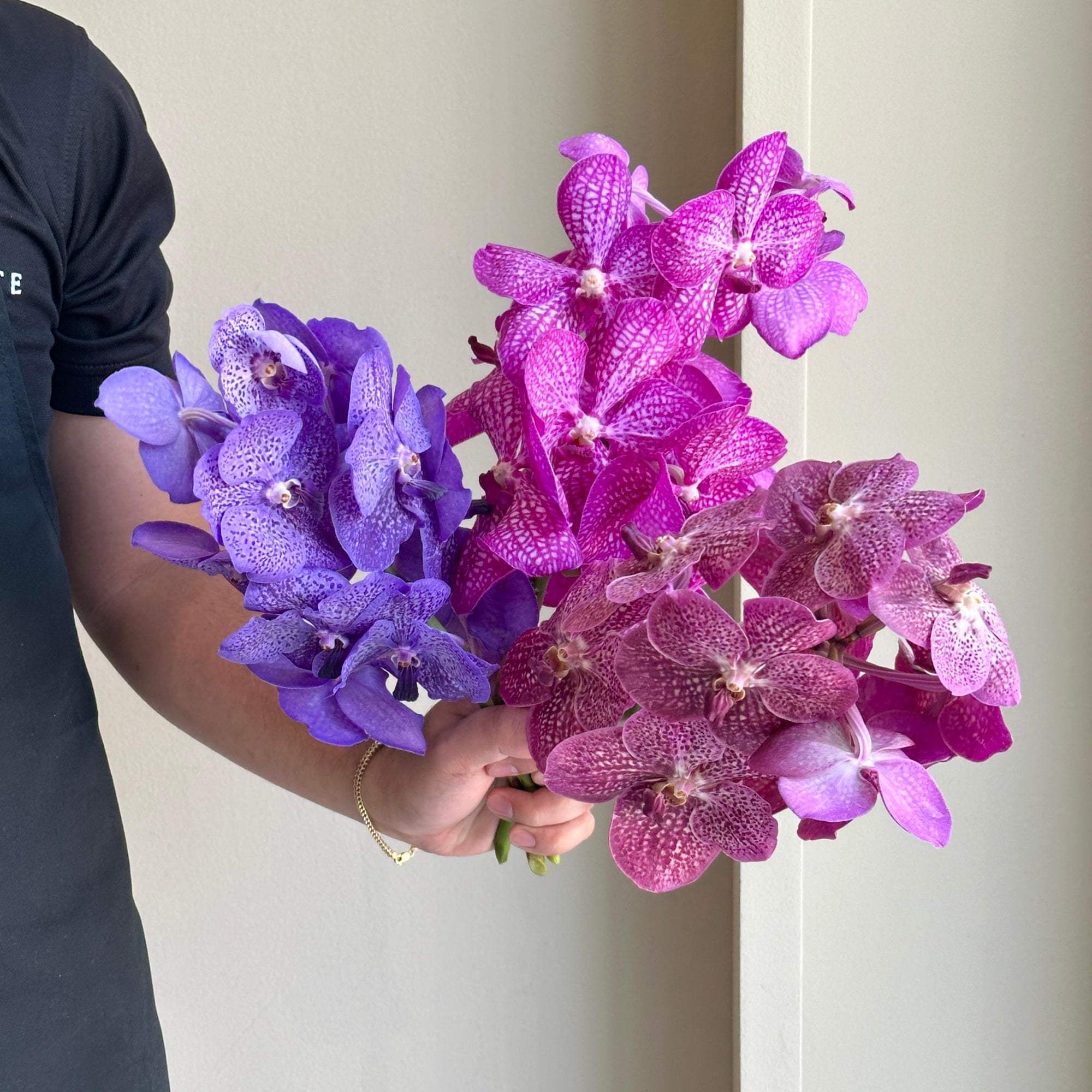 Vanda Orchids - Mirage Pink & Puple  Mix