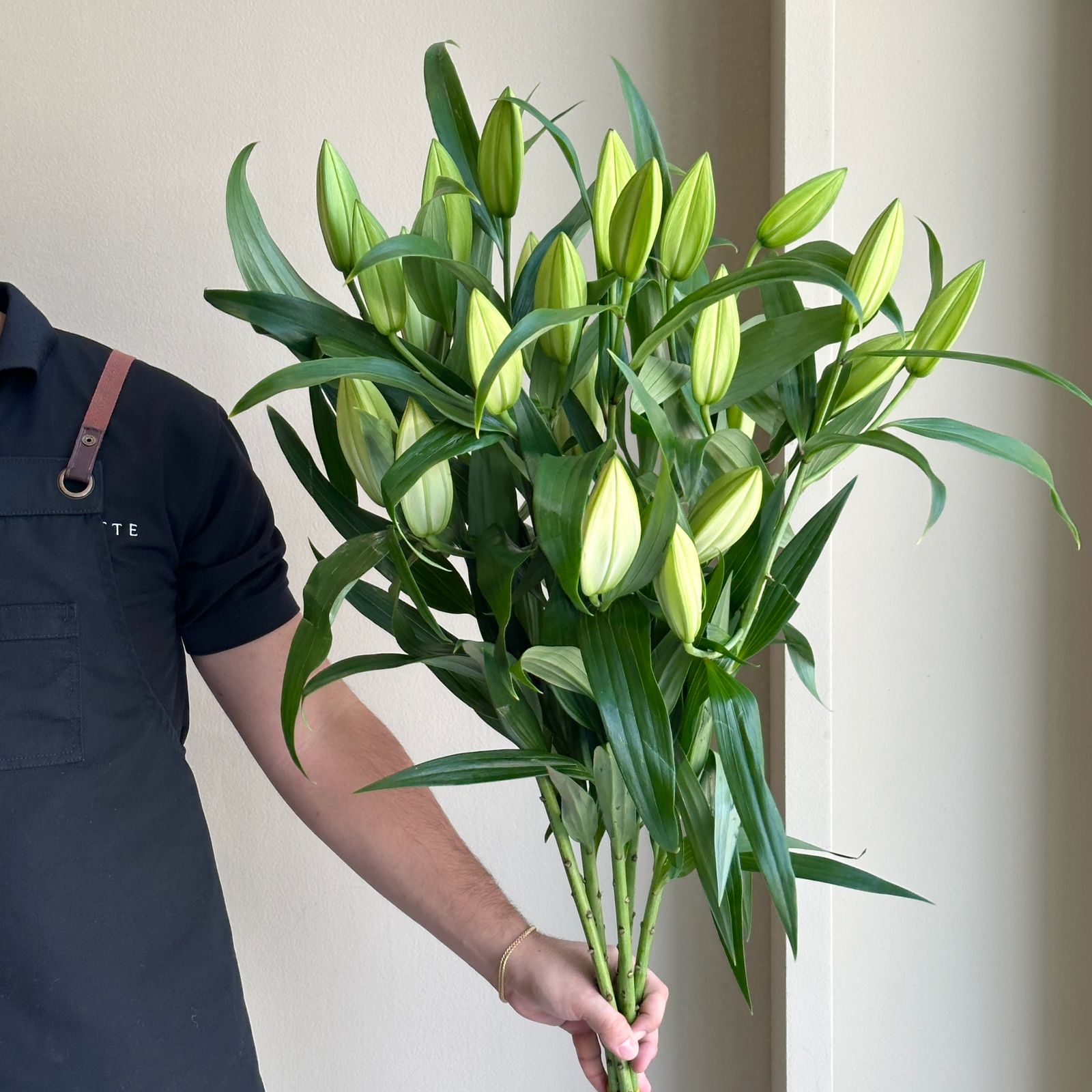 Lilies Oriental - Sempione
